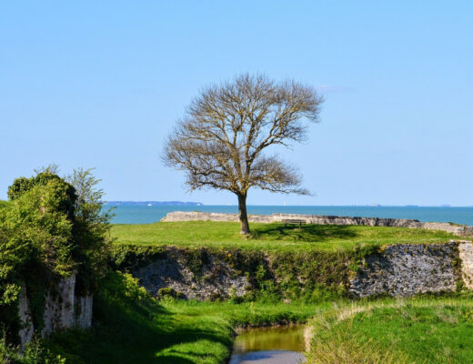 Découvrir l'île d'Oléron à vélo, c'est nettement mieux !