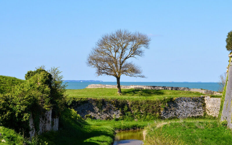 Découvrir l'île d'Oléron à vélo, c'est nettement mieux !